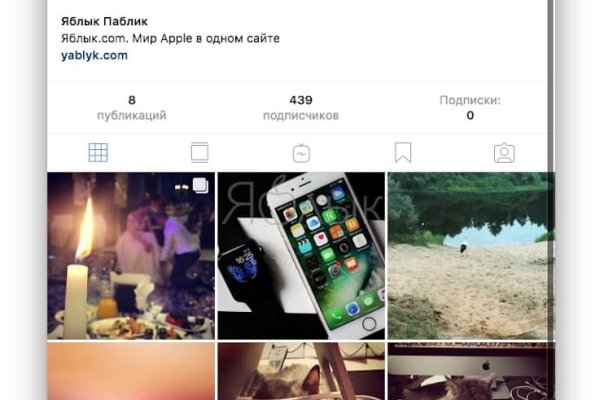 Где купить котиков для начинающих